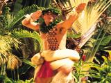 alii luau alii luau